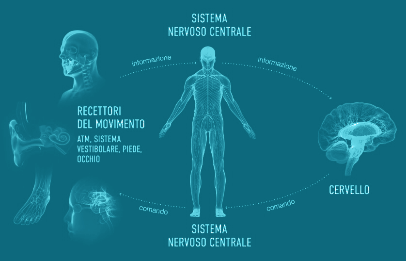 Postura ed equilibrio del corpo